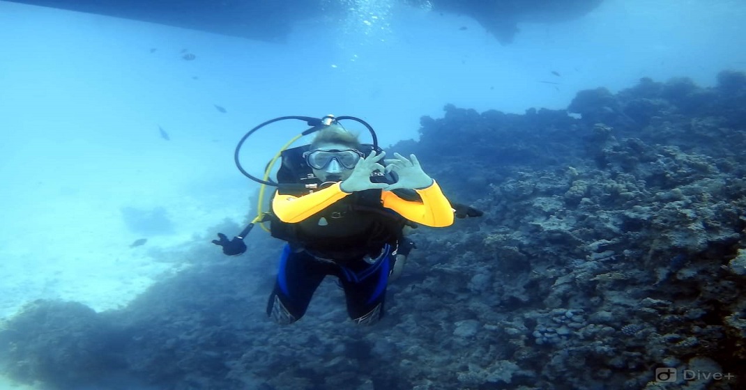 Deep Sea diving Intro for beginnersin Marsa Alam  